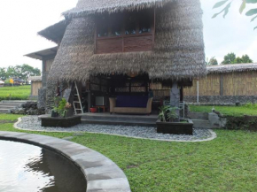 Гостиница Pondok Kunang Kunang  Beratan